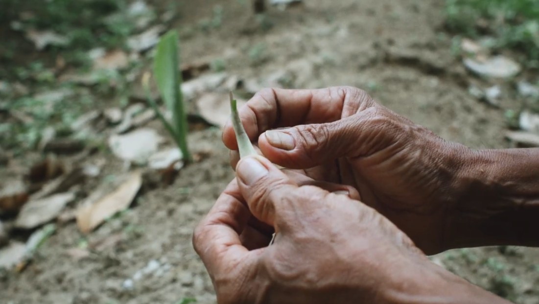 Still from A Tale of the Stolen River