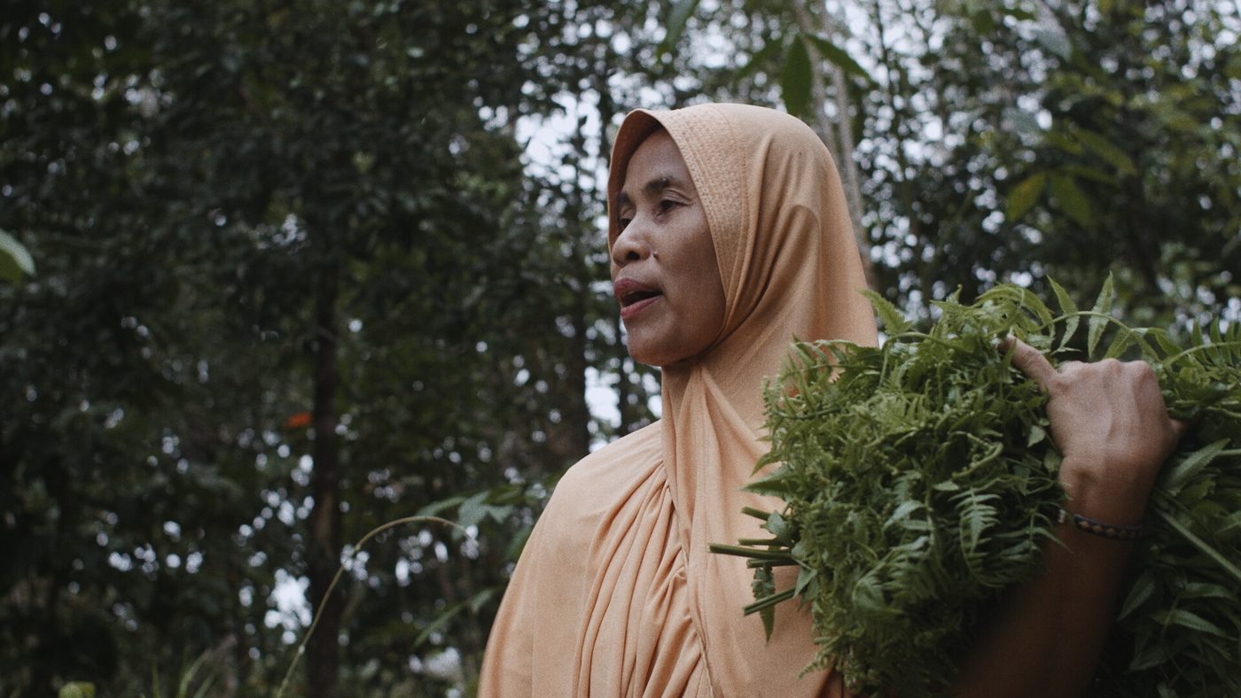 Still from A Tale of the Stolen River